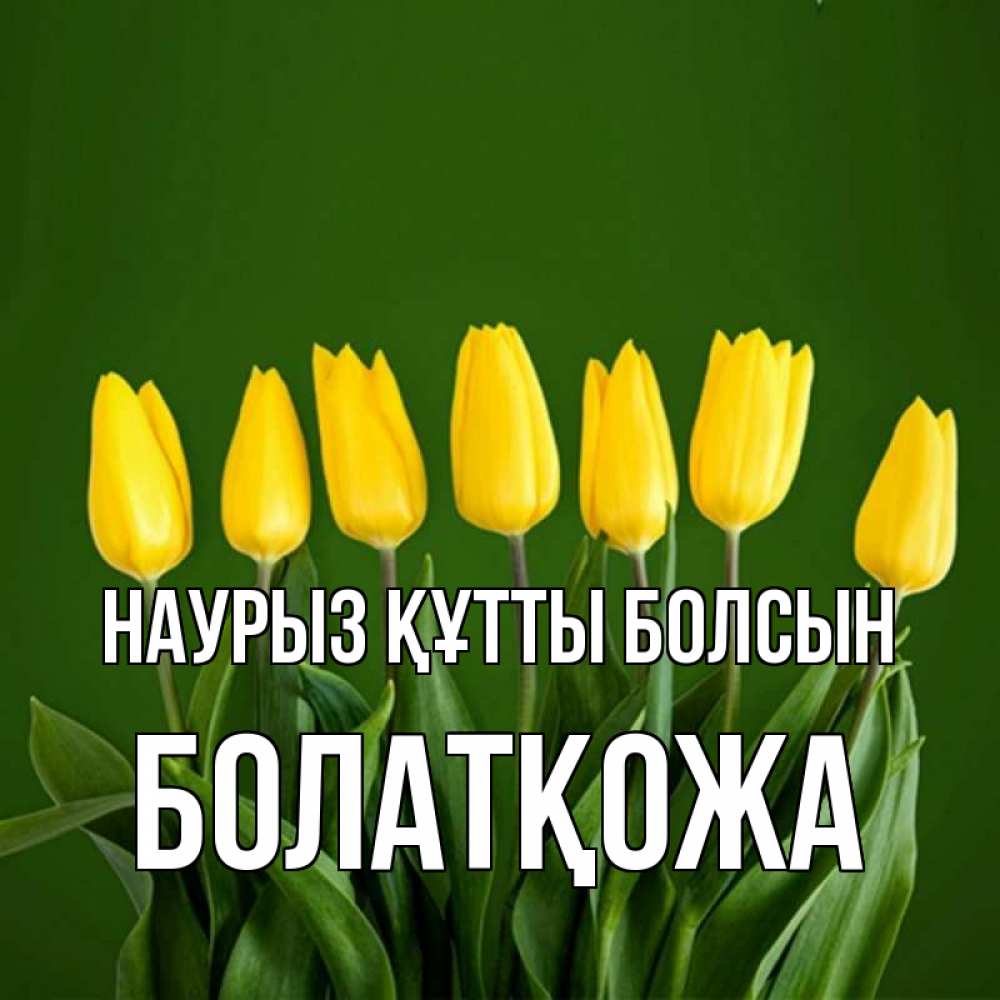 Күн сайын ашық хат с именем, Болатқожа Наурыз құтты болсын желтого цвета 3 Онлайн тегін жүктеп алу тілектері бар керемет карта 