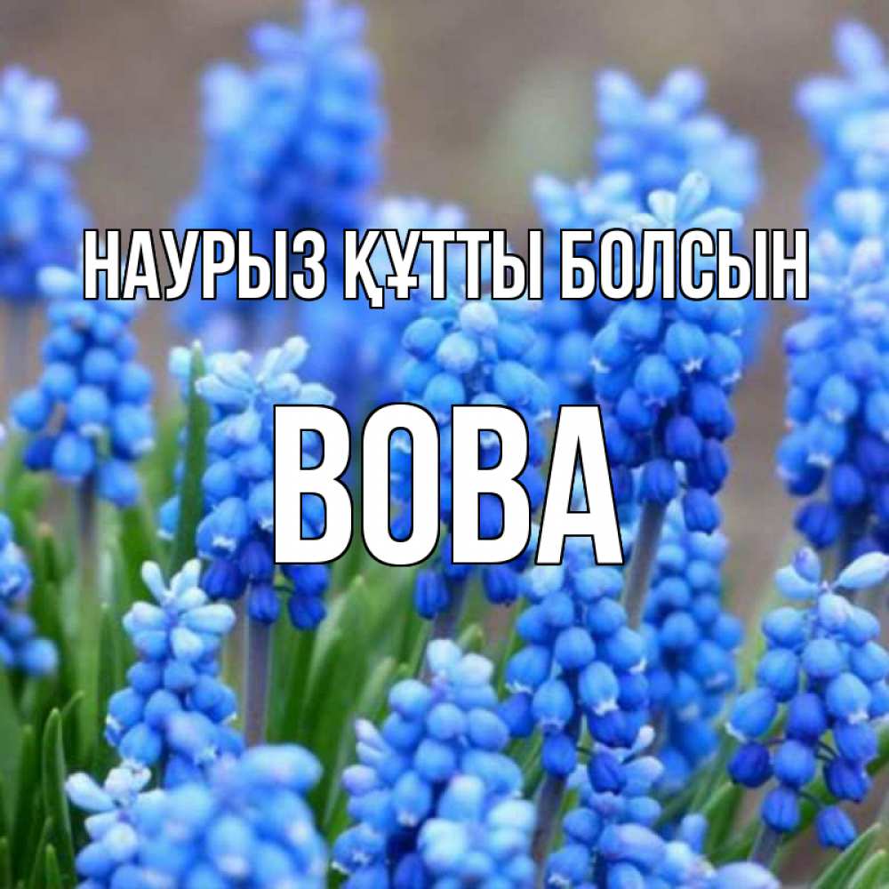 Күн сайын ашық хат с именем, Вова Наурыз құтты болсын Поздравительная открытка для женщин с цветами на праздничную дату Онлайн тегін жүктеп алу тілектері бар керемет карта 