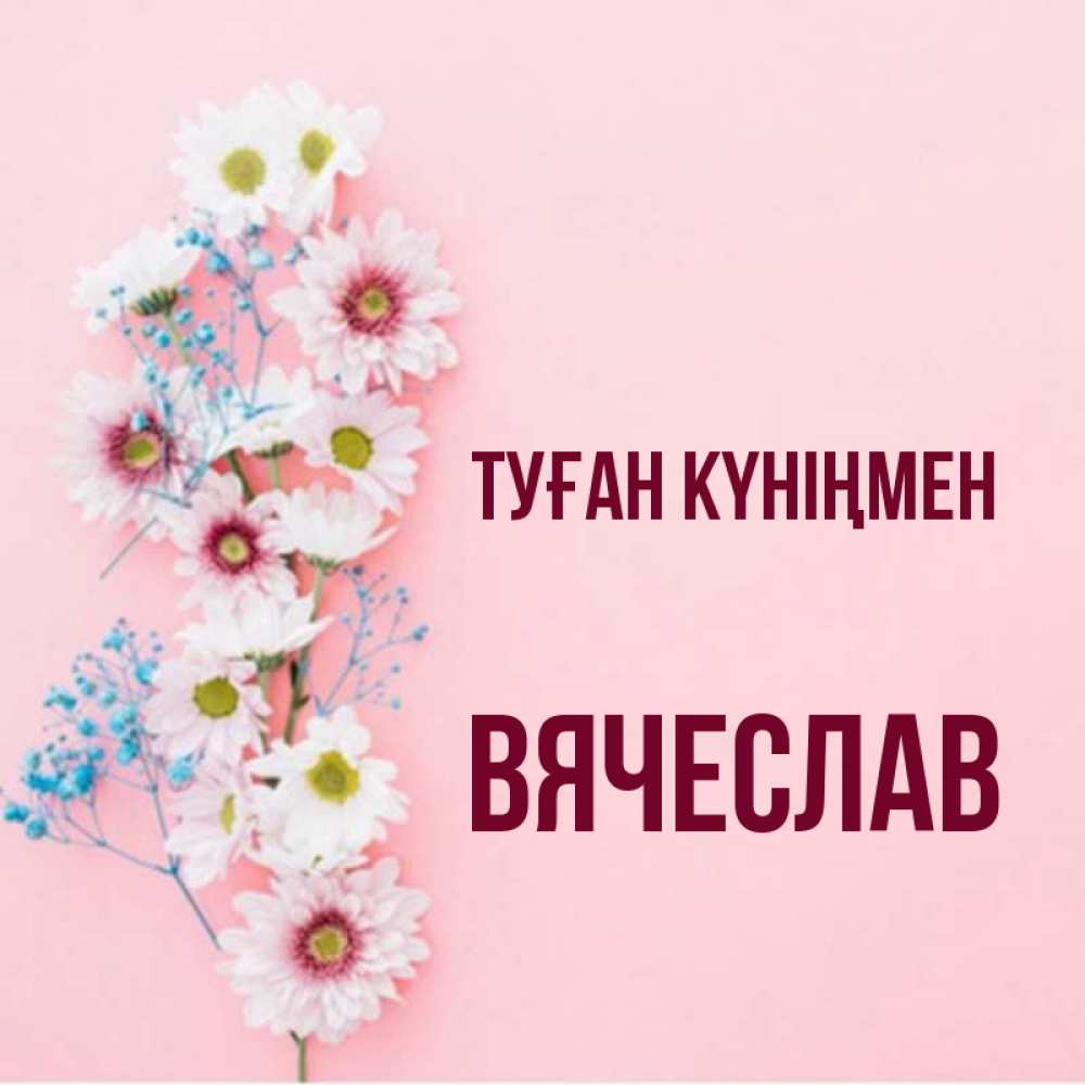 Күн сайын ашық хат с именем, Вячеслав Туған күніңмен Родная моя с днем рождения тебя картинка с цветами белыми и голубыми Онлайн тегін жүктеп алу тілектері бар керемет карта 