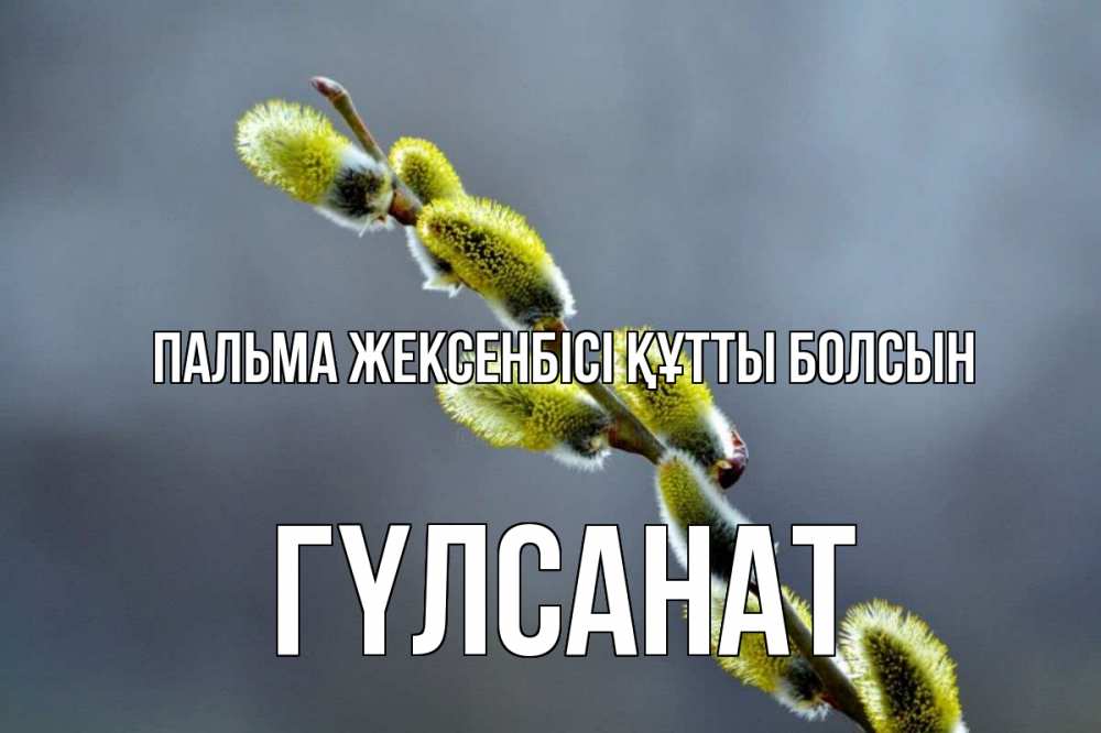 Күн сайын ашық хат с именем, ГҮЛСАНАТ Пальма жексенбісі құтты болсын верба Онлайн тегін жүктеп алу тілектері бар керемет карта 