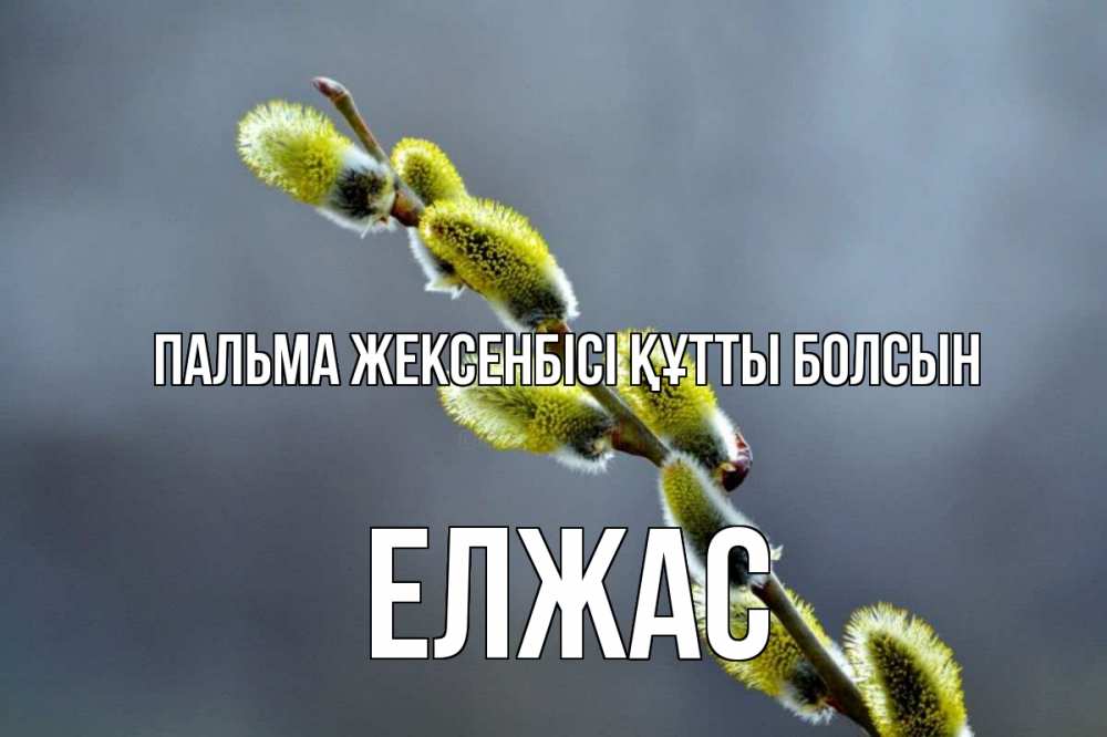 Күн сайын ашық хат с именем, Елжас Пальма жексенбісі құтты болсын верба Онлайн тегін жүктеп алу тілектері бар керемет карта 