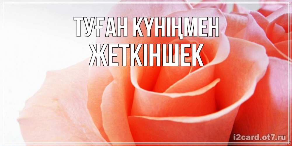 Күн сайын ашық хат с именем, Жеткіншек Туған күніңмен розы для поздравления с днем рождения Онлайн тегін жүктеп алу тілектері бар керемет карта 