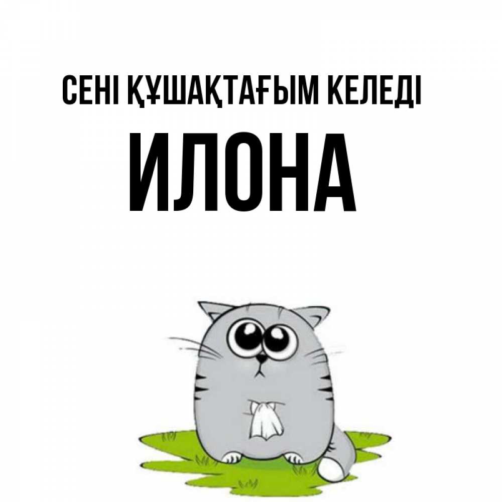 Күн сайын ашық хат с именем, Илона сені құшақтағым келеді котик теребит платочек сидя на травке Онлайн тегін жүктеп алу тілектері бар керемет карта 