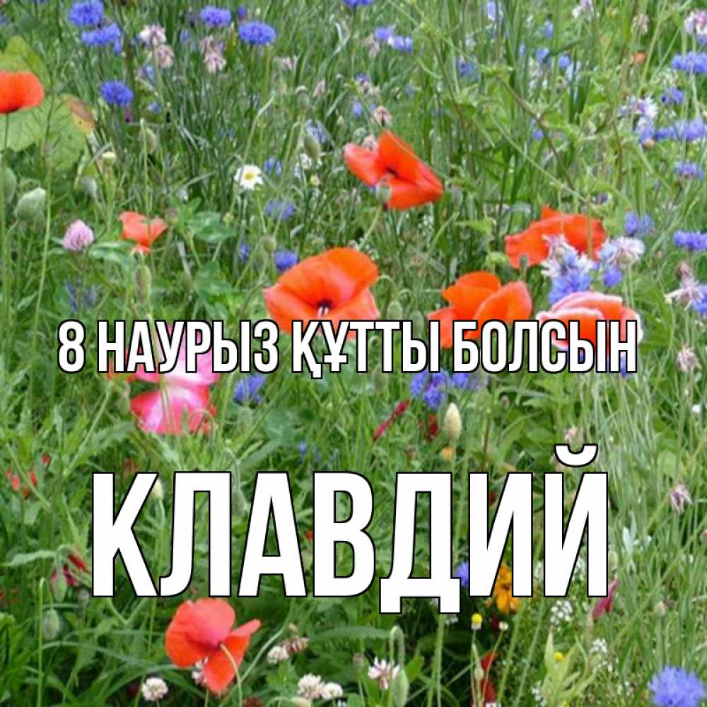 Күн сайын ашық хат с именем, Клавдий 8 наурыз құтты болсын международный женский день 4 Онлайн тегін жүктеп алу тілектері бар керемет карта 