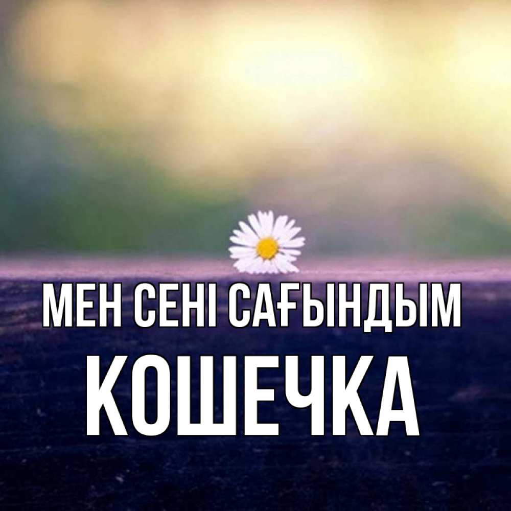 Күн сайын ашық хат с именем, Кошечка Мен сені сағындым приходи в гости Онлайн тегін жүктеп алу тілектері бар керемет карта 