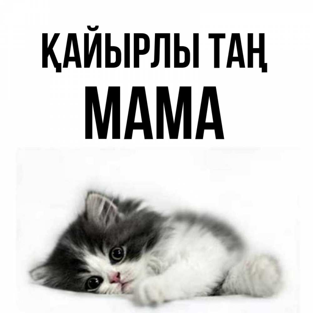 Күн сайын ашық хат с именем, Мама Қайырлы таң кот лапки Онлайн тегін жүктеп алу тілектері бар керемет карта 