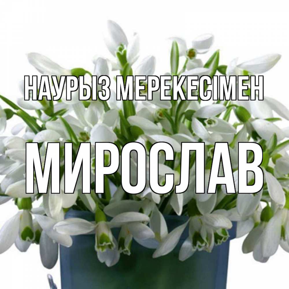 Күн сайын ашық хат с именем, Мирослав Наурыз мерекесімен цветы к наурызу новый год в Казахстане Онлайн тегін жүктеп алу тілектері бар керемет карта 