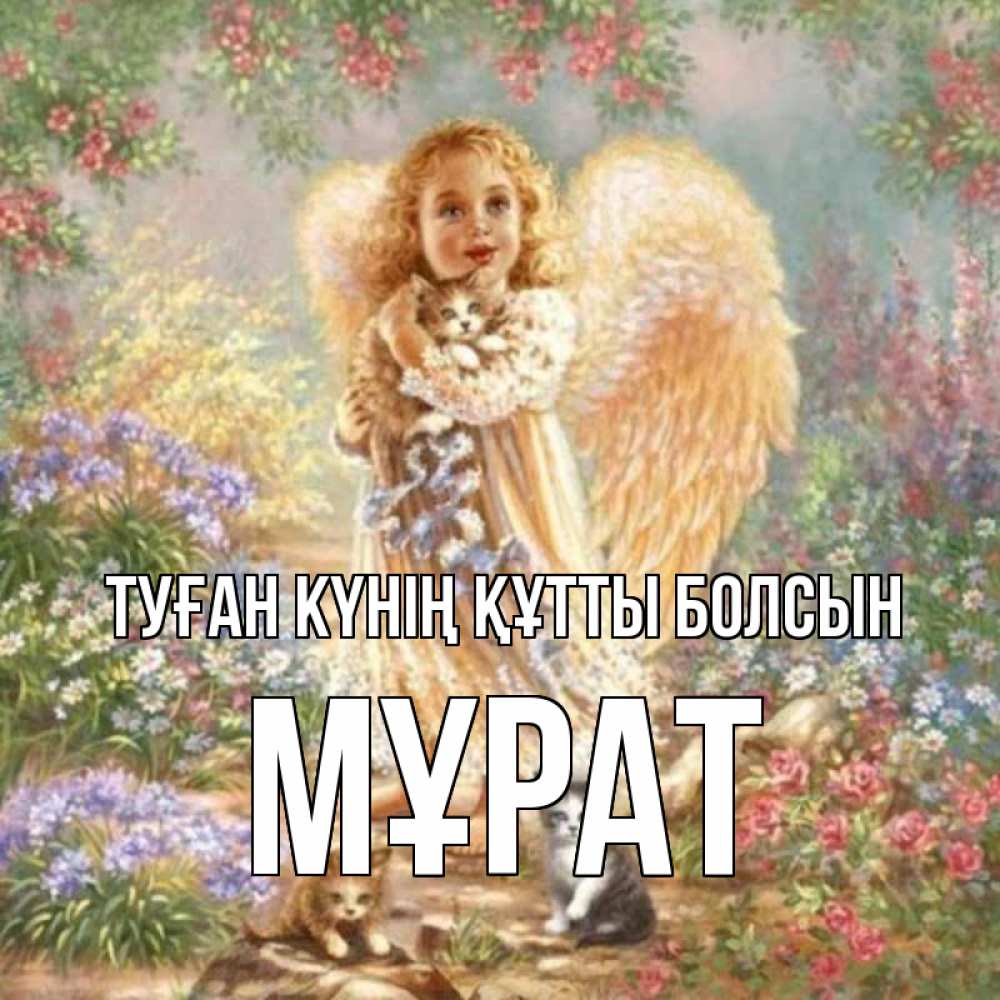Күн сайын ашық хат с именем, МҰРАТ Туған күнің құтты болсын держит котенка Онлайн тегін жүктеп алу тілектері бар керемет карта 