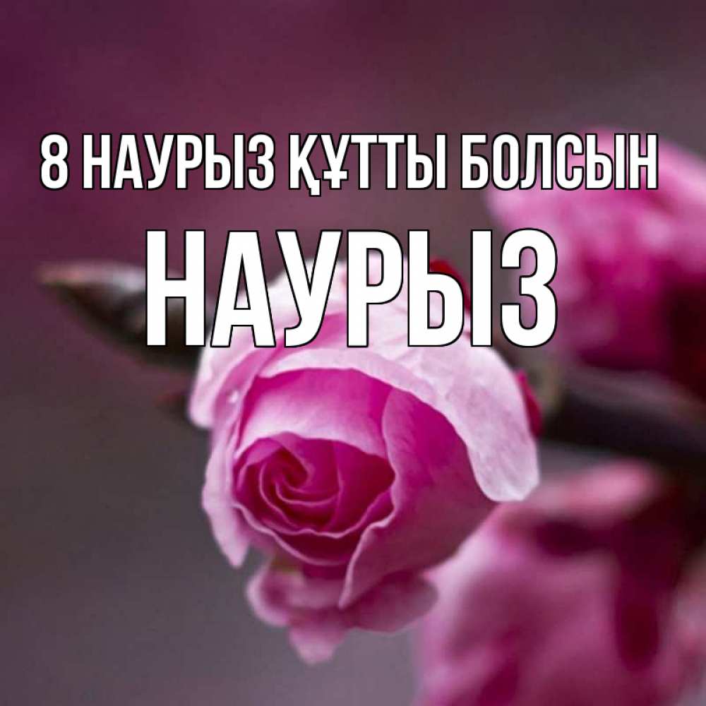 Күн сайын ашық хат с именем, НАУРЫЗ 8 наурыз құтты болсын весна Онлайн тегін жүктеп алу тілектері бар керемет карта 