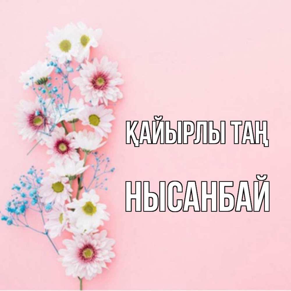 Күн сайын ашық хат с именем, НЫСАНБАЙ Қайырлы таң цветы с подписью Онлайн тегін жүктеп алу тілектері бар керемет карта 