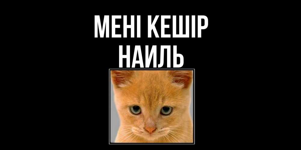 Күн сайын ашық хат с именем, Наиль Мені кешір рыжий грустный кот просит прощения Онлайн тегін жүктеп алу тілектері бар керемет карта 