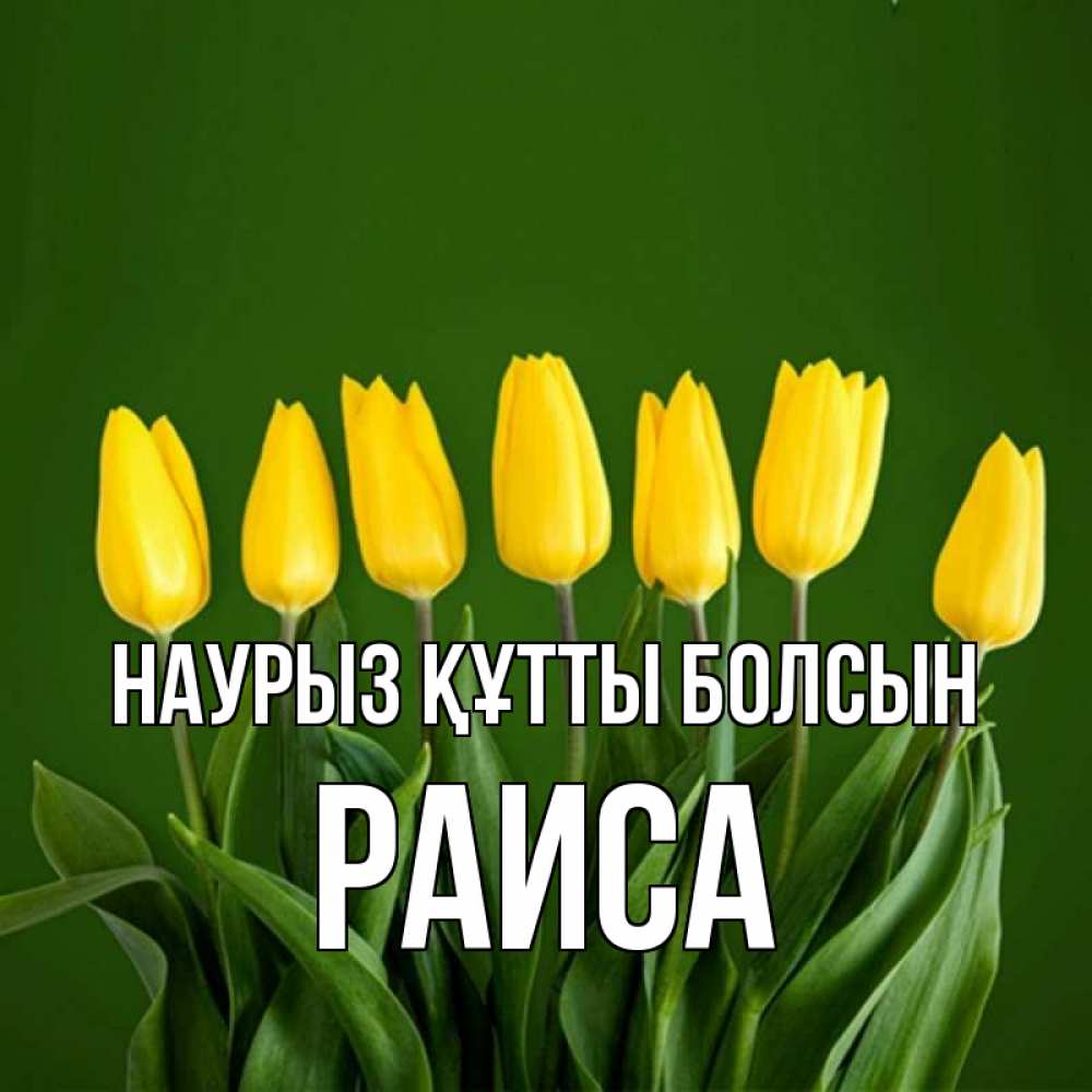 Күн сайын ашық хат с именем, Раиса Наурыз құтты болсын желтого цвета 3 Онлайн тегін жүктеп алу тілектері бар керемет карта 
