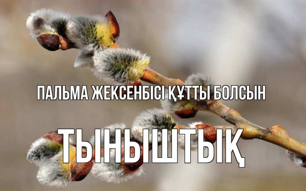 Күн сайын ашық хат с именем, ТЫНЫШТЫҚ Пальма жексенбісі құтты болсын Верба Онлайн тегін жүктеп алу тілектері бар керемет карта 