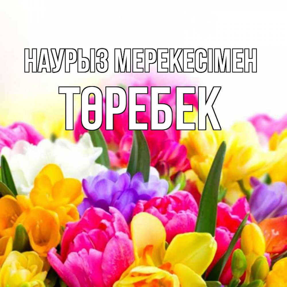 Күн сайын ашық хат с именем, ТӨРЕБЕК Наурыз мерекесімен тюльпаны Онлайн тегін жүктеп алу тілектері бар керемет карта 