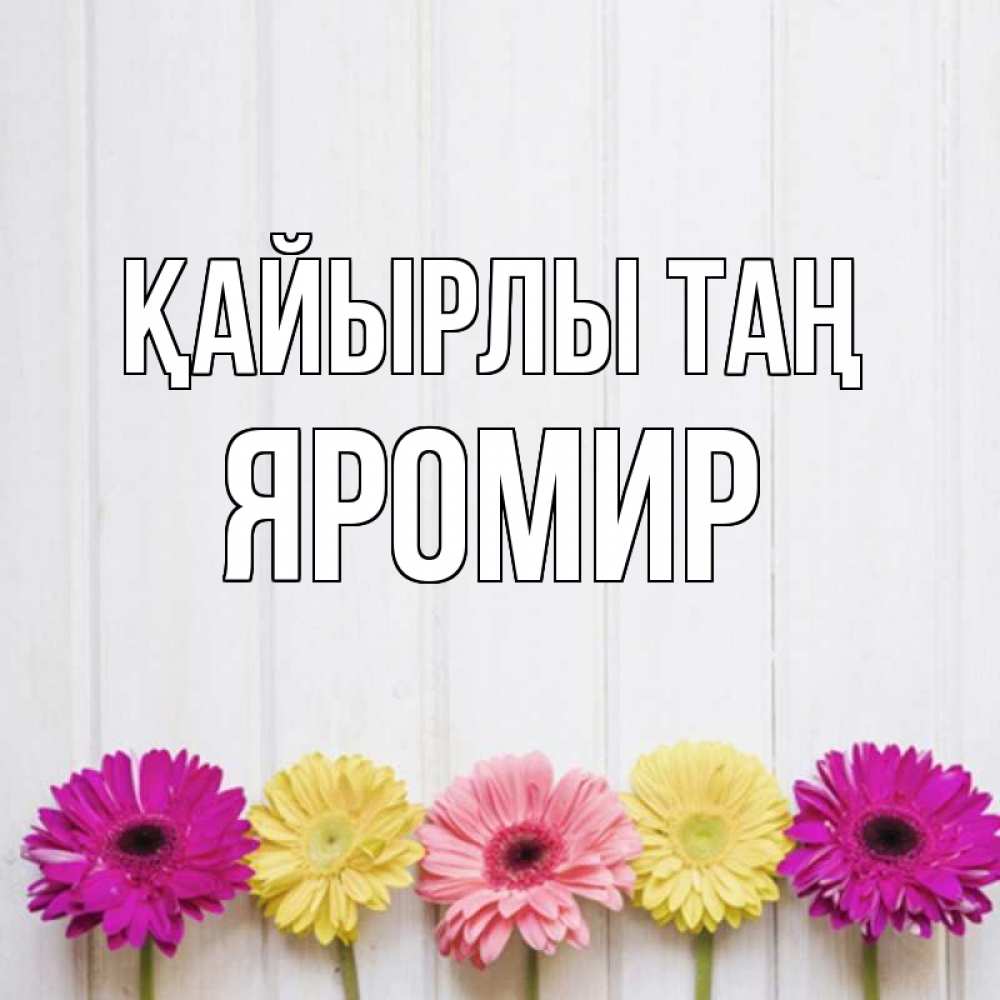 Күн сайын ашық хат с именем, Яромир Қайырлы таң красный желтый и розовый цветок Онлайн тегін жүктеп алу тілектері бар керемет карта 