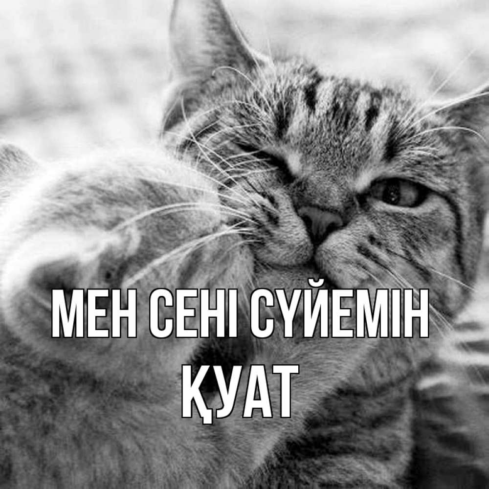 Күн сайын ашық хат с именем, ҚУАТ Мен сені сүйемін коты Онлайн тегін жүктеп алу тілектері бар керемет карта 