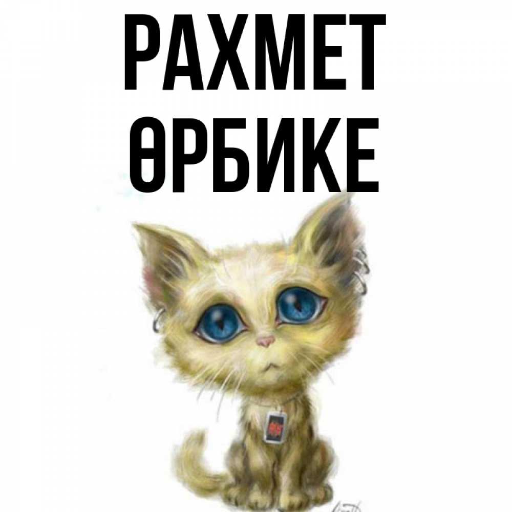 Күн сайын ашық хат с именем, ӨРБИКЕ рахмет рисованный кот благодарит вас Онлайн тегін жүктеп алу тілектері бар керемет карта 