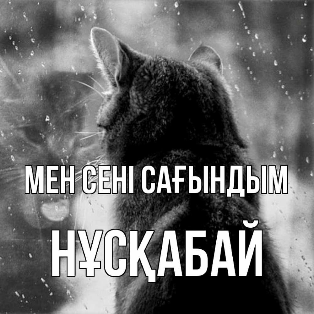 Күн сайын ашық хат с именем, НҰСҚАБАЙ Мен сені сағындым скорее ко мне приходи 1 Онлайн тегін жүктеп алу тілектері бар керемет карта 