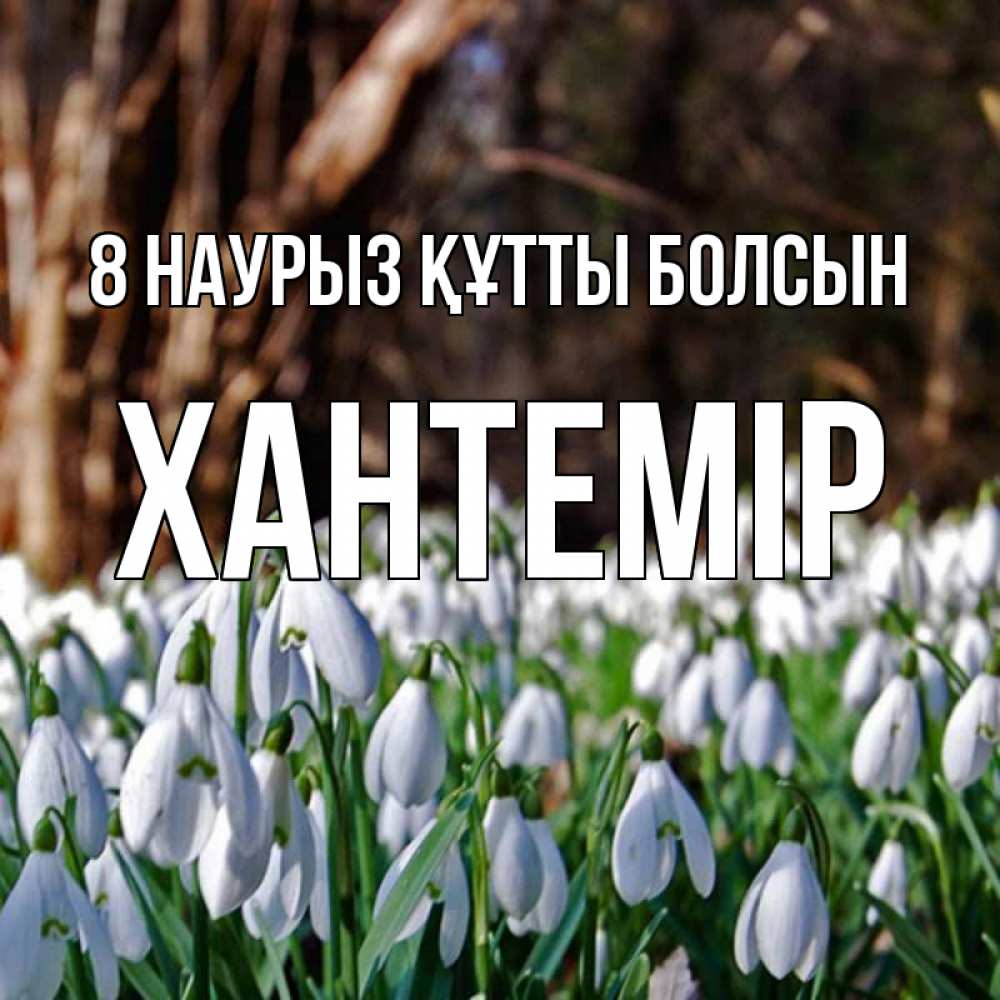 Күн сайын ашық хат с именем, ХАНТЕМІР 8 наурыз құтты болсын с подснежниками 1 Онлайн тегін жүктеп алу тілектері бар керемет карта 
