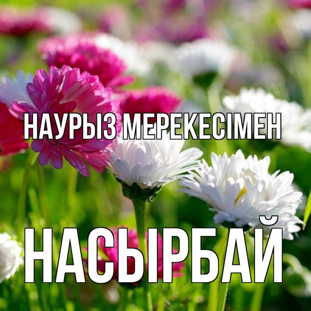 Күн сайын ашық хат с именем, Насырбай Наурыз мерекесімен праздник весны наурыз красота Онлайн тегін жүктеп алу тілектері бар керемет карта 