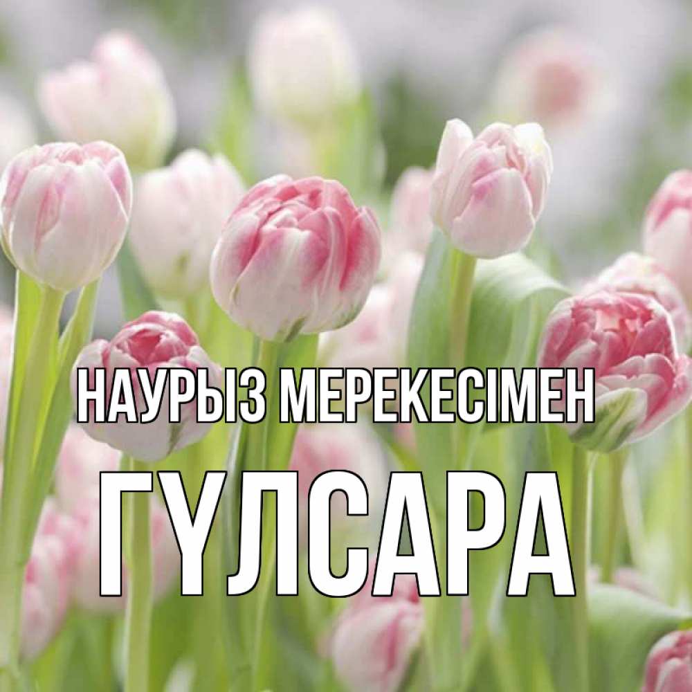 Күн сайын ашық хат с именем, ГҮЛСАРА Наурыз мерекесімен цветы Онлайн тегін жүктеп алу тілектері бар керемет карта 