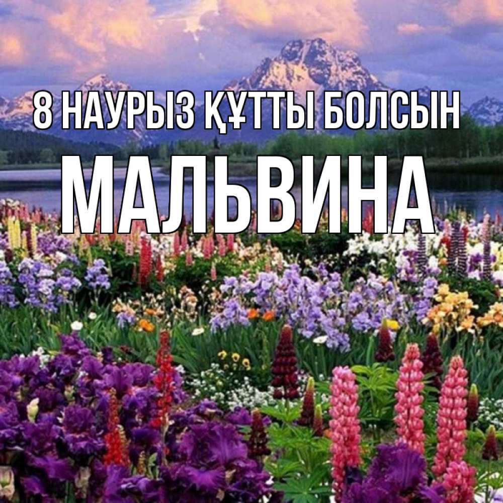 Күн сайын ашық хат с именем, Мальвина 8 наурыз құтты болсын международный женский день Онлайн тегін жүктеп алу тілектері бар керемет карта 