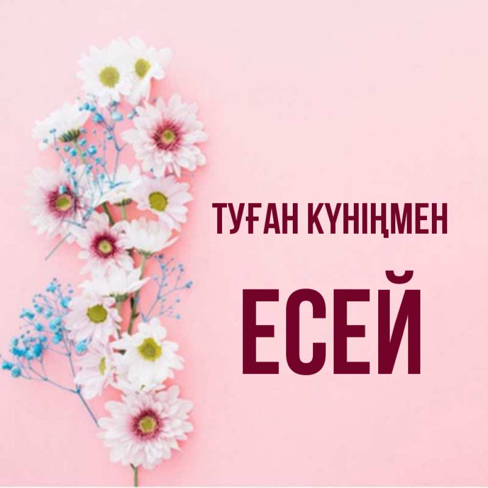 Күн сайын ашық хат с именем, Есей Туған күніңмен Родная моя с днем рождения тебя картинка с цветами белыми и голубыми Онлайн тегін жүктеп алу тілектері бар керемет карта 