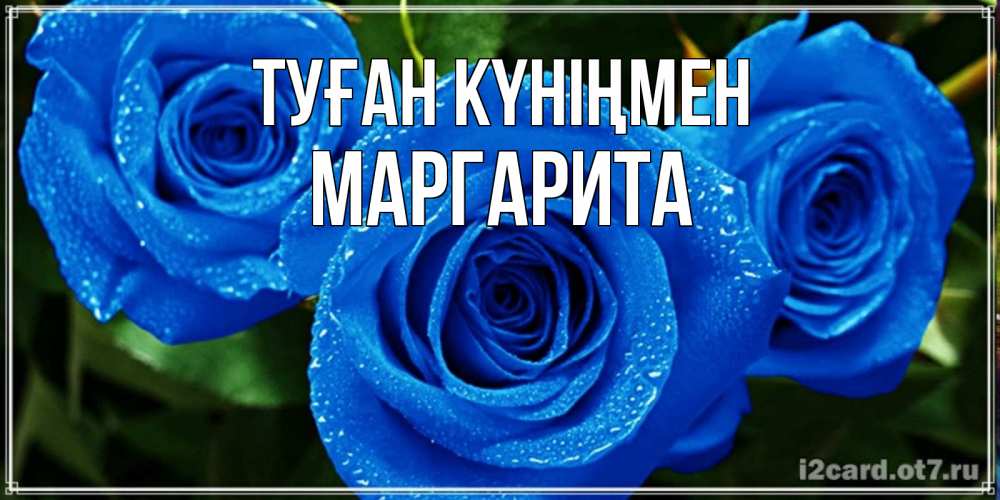 Күн сайын ашық хат с именем, Маргарита Туған күніңмен розы с синим цветом Онлайн тегін жүктеп алу тілектері бар керемет карта 