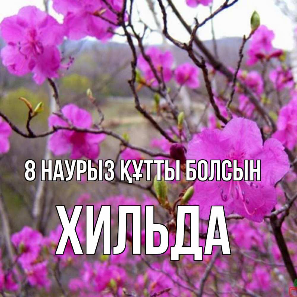 Күн сайын ашық хат с именем, Хильда 8 наурыз құтты болсын международный женский день Онлайн тегін жүктеп алу тілектері бар керемет карта 