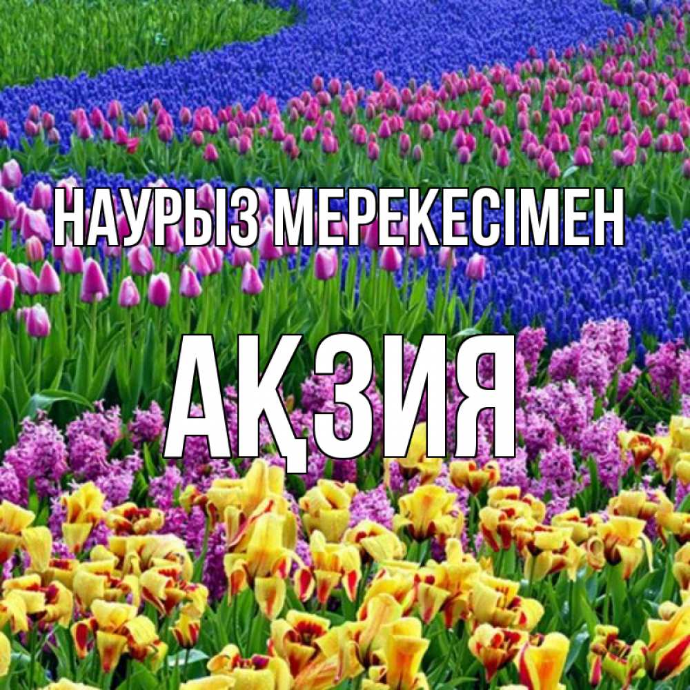 Күн сайын ашық хат с именем, Ақзия Наурыз мерекесімен цветы Онлайн тегін жүктеп алу тілектері бар керемет карта 