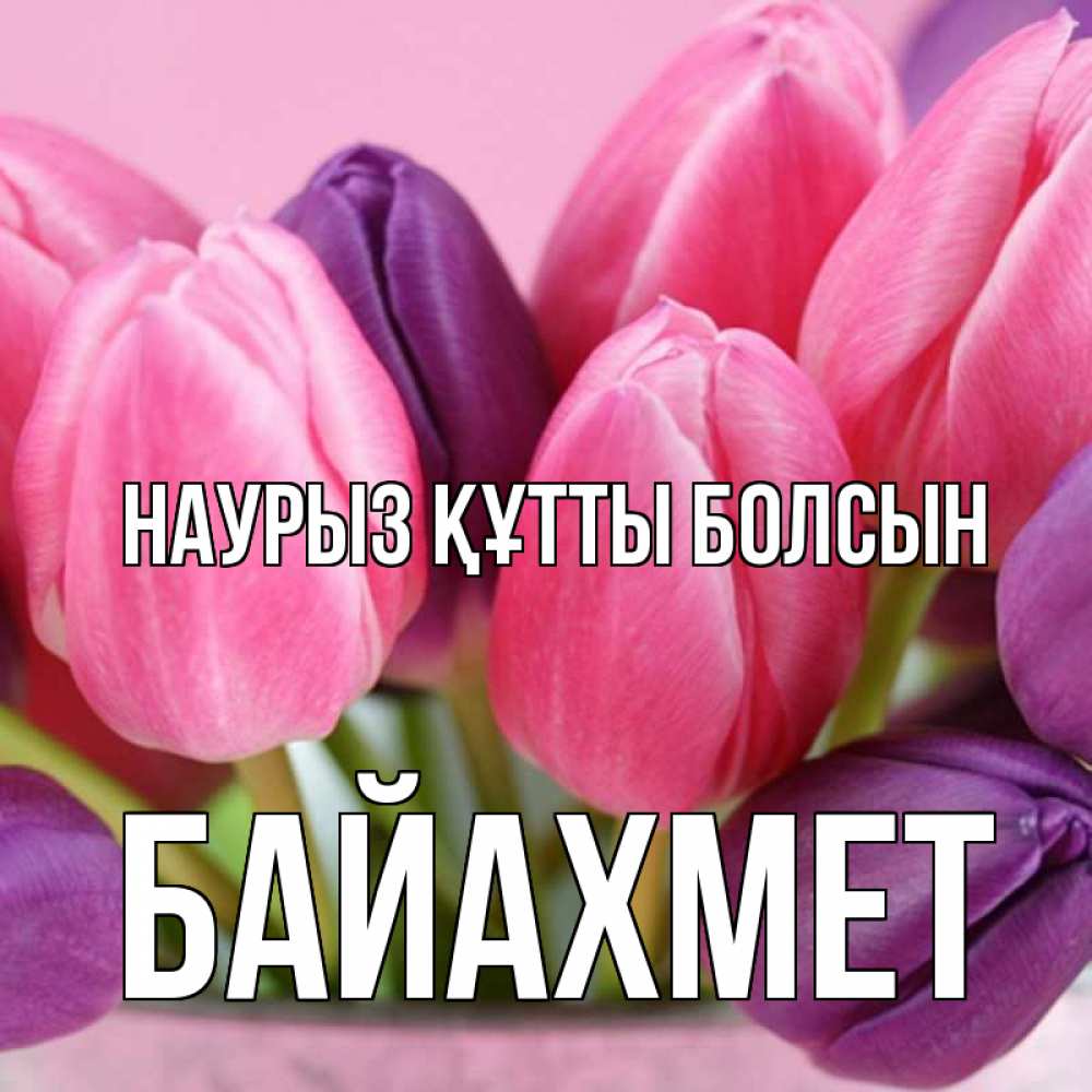Күн сайын ашық хат с именем, Байахмет Наурыз құтты болсын маме 1 Онлайн тегін жүктеп алу тілектері бар керемет карта 