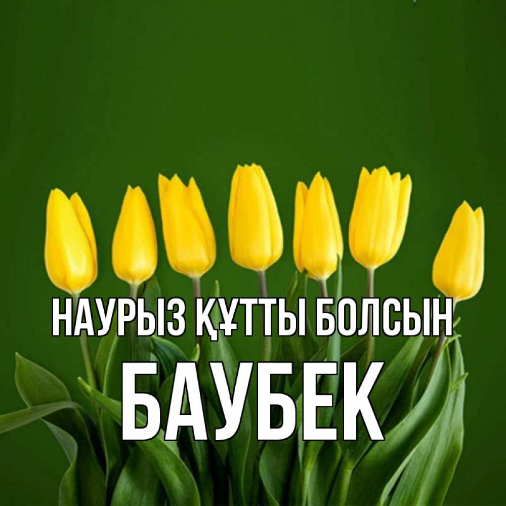 Күн сайын ашық хат с именем, Баубек Наурыз құтты болсын желтого цвета 3 Онлайн тегін жүктеп алу тілектері бар керемет карта 