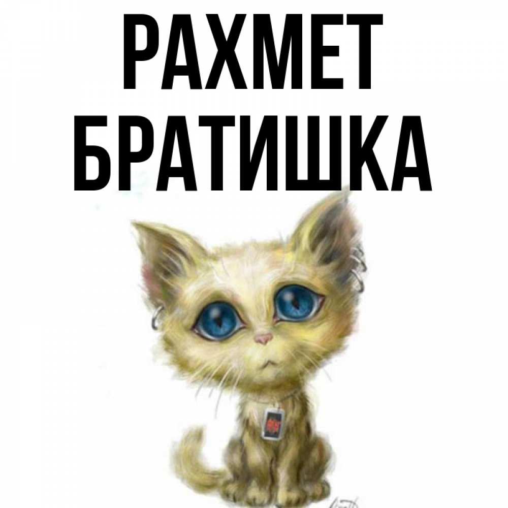 Күн сайын ашық хат с именем, Братишка рахмет рисованный кот благодарит вас Онлайн тегін жүктеп алу тілектері бар керемет карта 