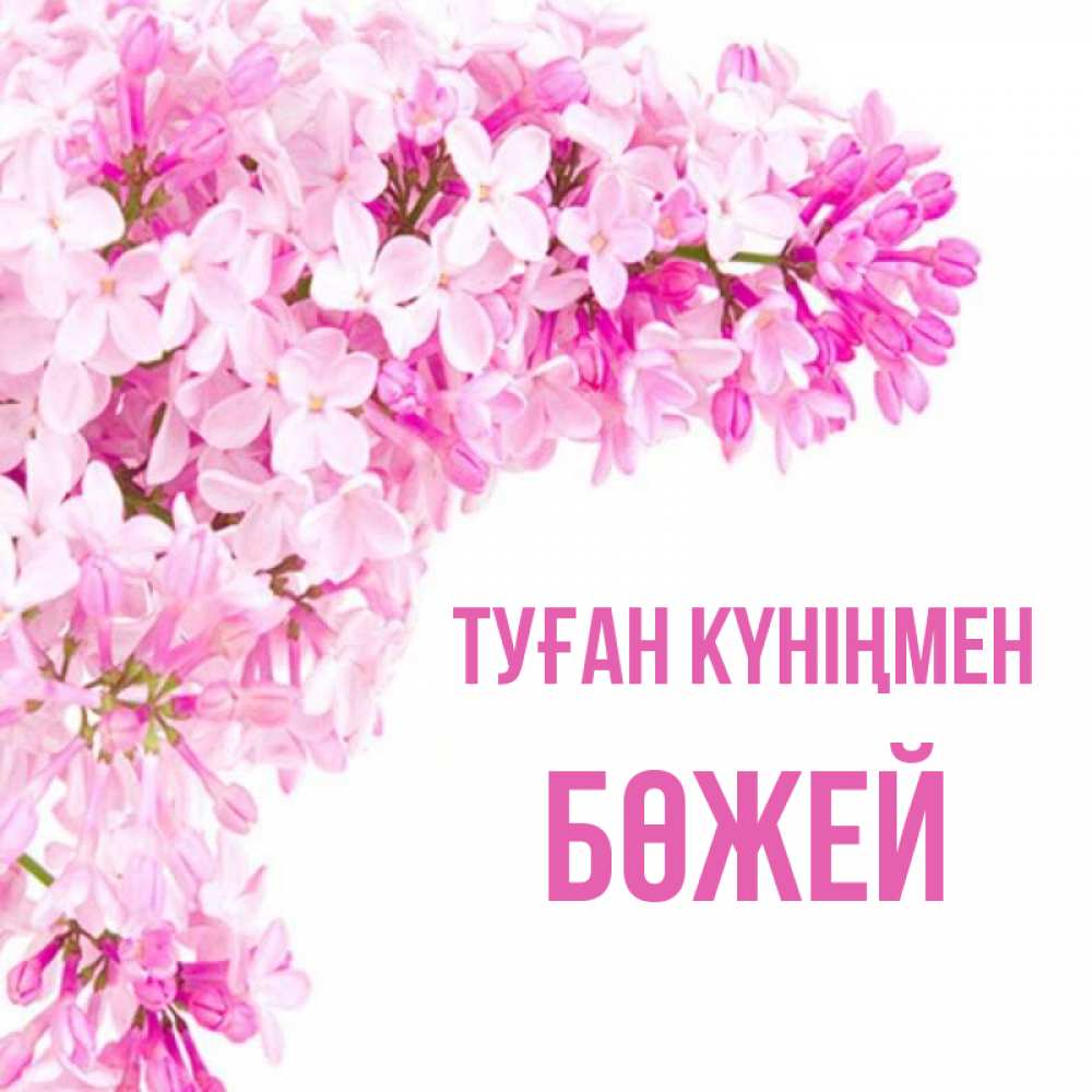 Күн сайын ашық хат с именем, Бөжей Туған күніңмен Сирень на белом фоне Онлайн тегін жүктеп алу тілектері бар керемет карта 