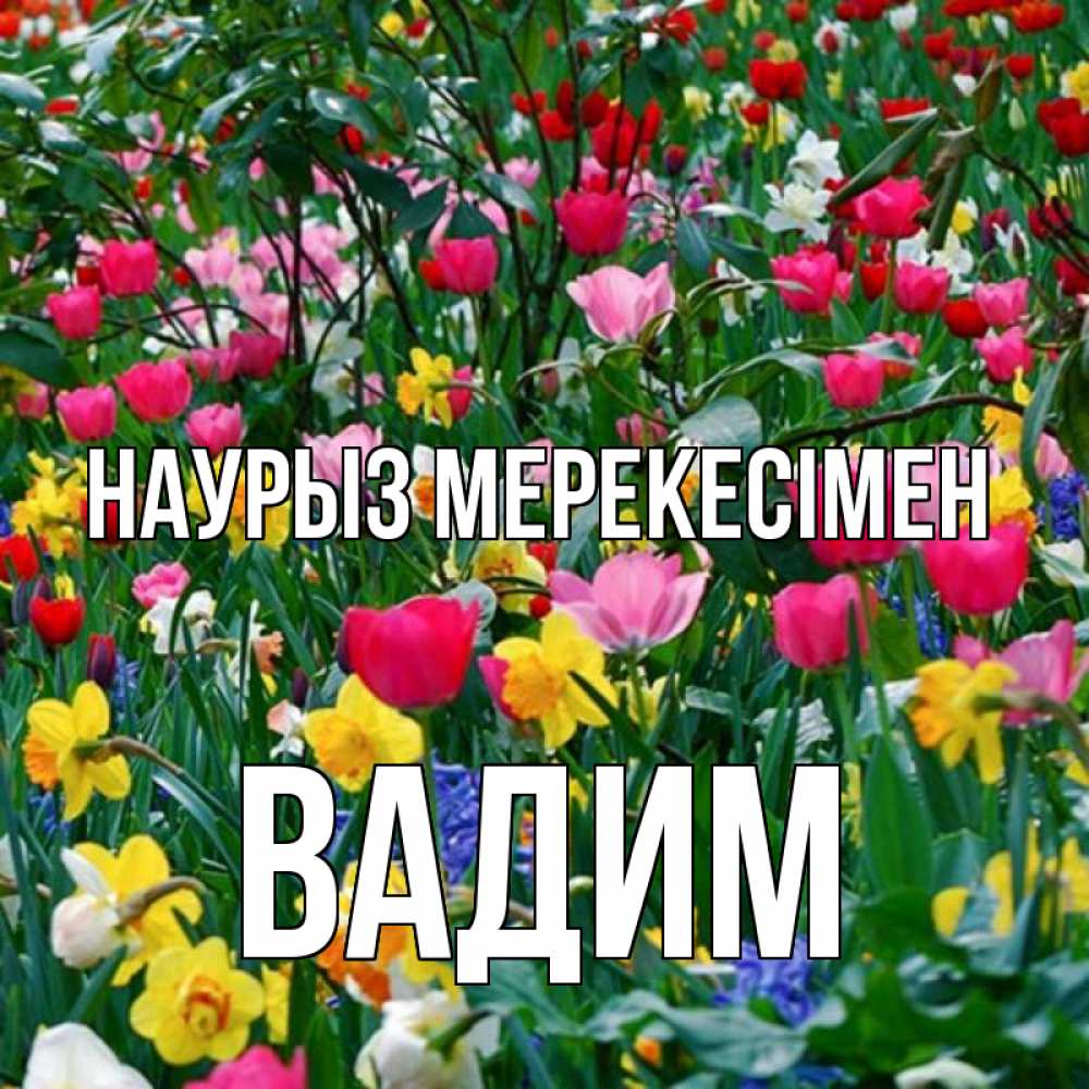 Күн сайын ашық хат с именем, Вадим Наурыз мерекесімен с наурызом праздником весны поздравления для женщины Онлайн тегін жүктеп алу тілектері бар керемет карта 