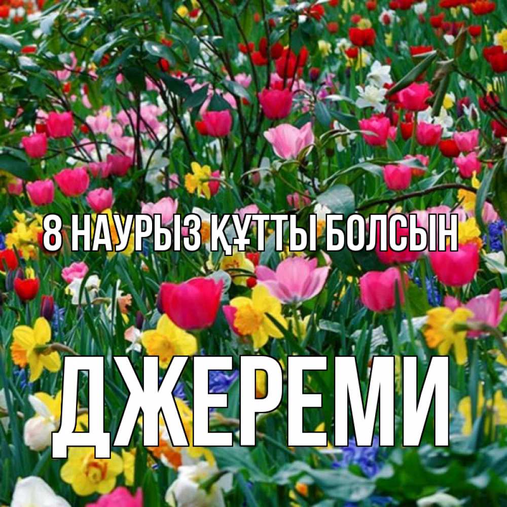 Күн сайын ашық хат с именем, Джереми 8 наурыз құтты болсын с международным женским днем поздравления для женщины Онлайн тегін жүктеп алу тілектері бар керемет карта 