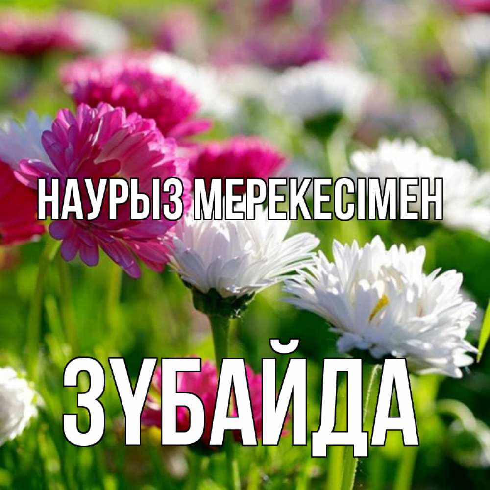 Күн сайын ашық хат с именем, ЗҮБАЙДА Наурыз мерекесімен праздник весны наурыз красота Онлайн тегін жүктеп алу тілектері бар керемет карта 
