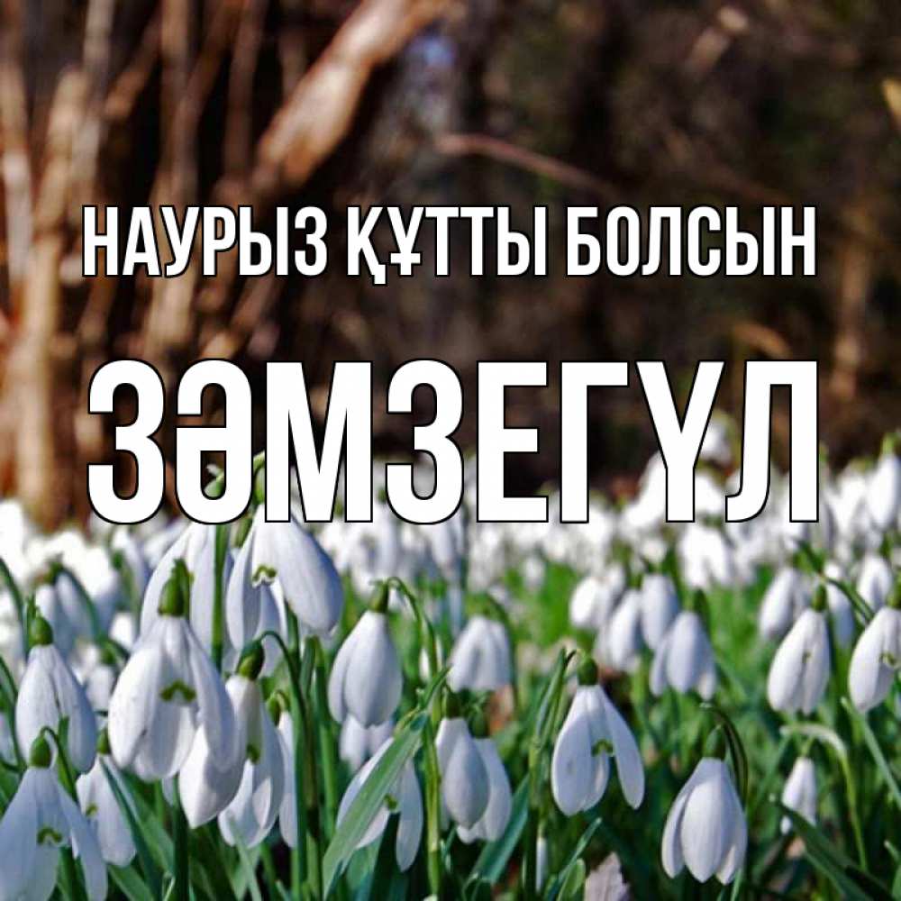 Күн сайын ашық хат с именем, ЗӘМЗЕГҮЛ Наурыз құтты болсын с подснежниками 1 Онлайн тегін жүктеп алу тілектері бар керемет карта 
