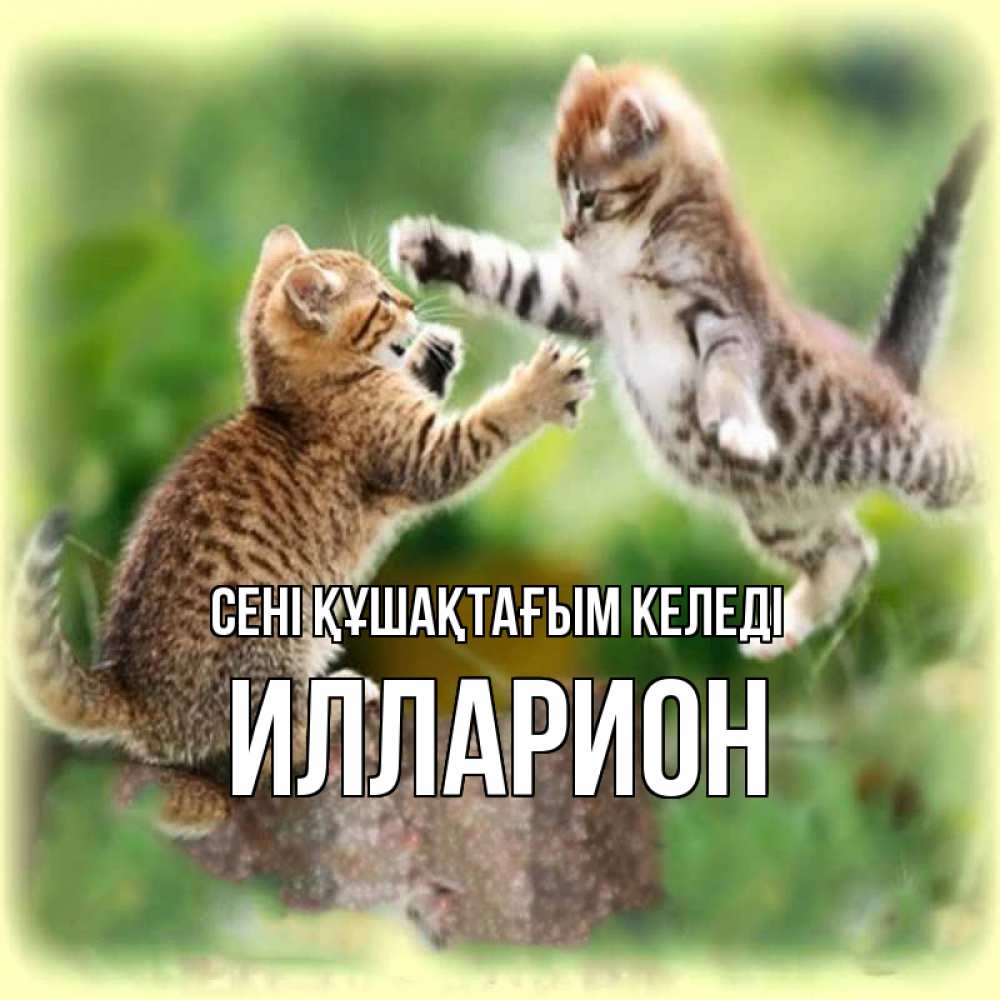 Күн сайын ашық хат с именем, Илларион сені құшақтағым келеді игры котят Онлайн тегін жүктеп алу тілектері бар керемет карта 
