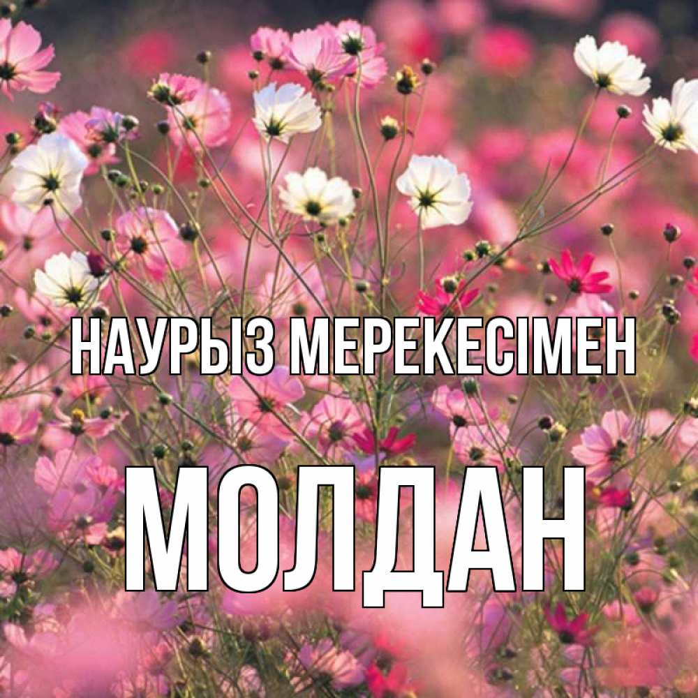 Күн сайын ашық хат с именем, МОЛДАН Наурыз мерекесімен красиво 1 Онлайн тегін жүктеп алу тілектері бар керемет карта 