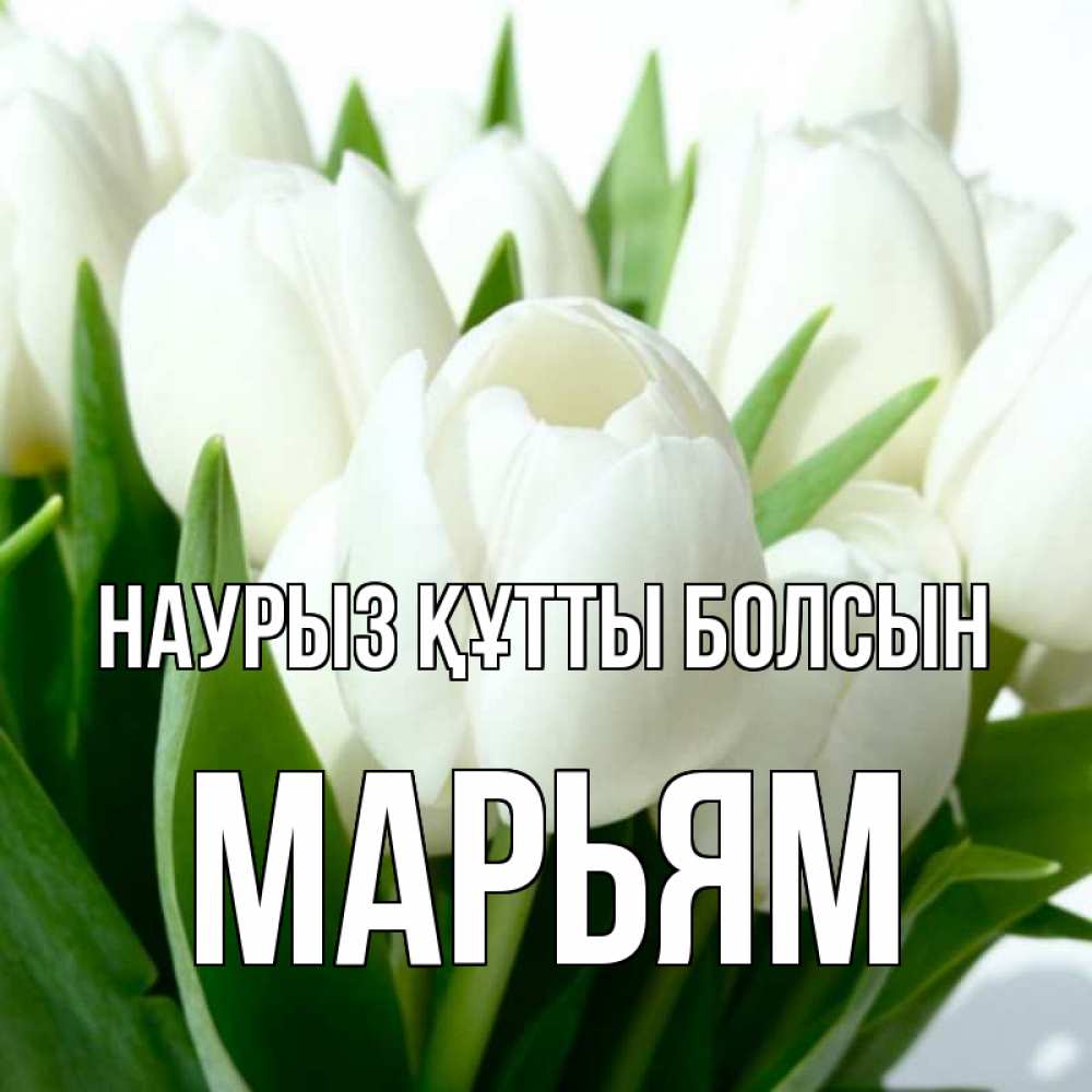 Күн сайын ашық хат с именем, Марьям Наурыз құтты болсын цветы Онлайн тегін жүктеп алу тілектері бар керемет карта 