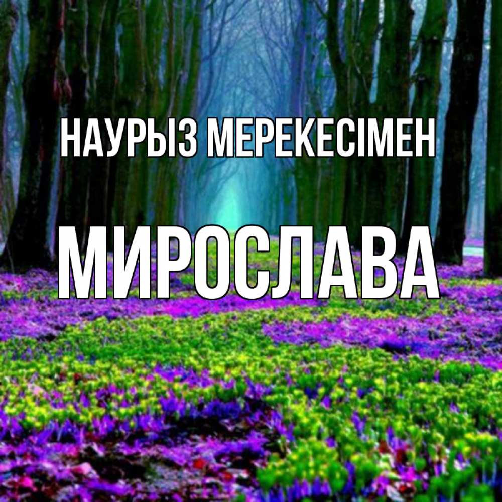Күн сайын ашық хат с именем, Мирослава Наурыз мерекесімен фиолетовые цветы в лесу 1 Онлайн тегін жүктеп алу тілектері бар керемет карта 
