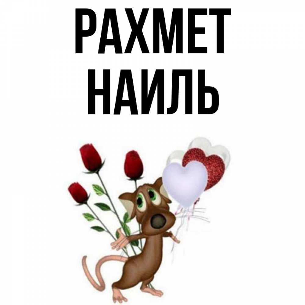 Күн сайын ашық хат с именем, Наиль рахмет песик с шариками в форме сердец Онлайн тегін жүктеп алу тілектері бар керемет карта 