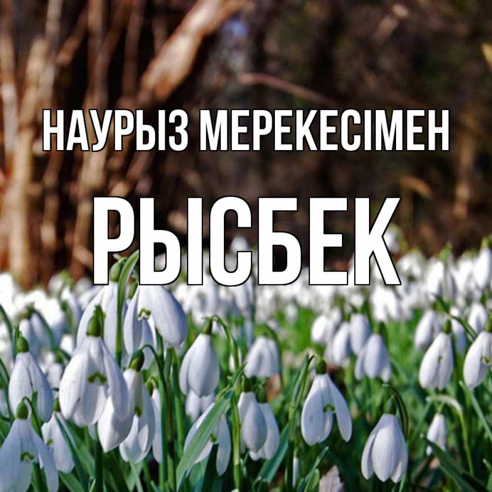 Күн сайын ашық хат с именем, РЫСБЕК Наурыз мерекесімен с подснежниками 1 Онлайн тегін жүктеп алу тілектері бар керемет карта 