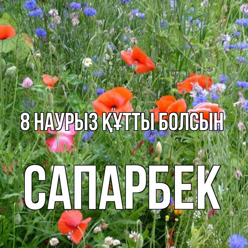 Күн сайын ашық хат с именем, САПАРБЕК 8 наурыз құтты болсын международный женский день 4 Онлайн тегін жүктеп алу тілектері бар керемет карта 