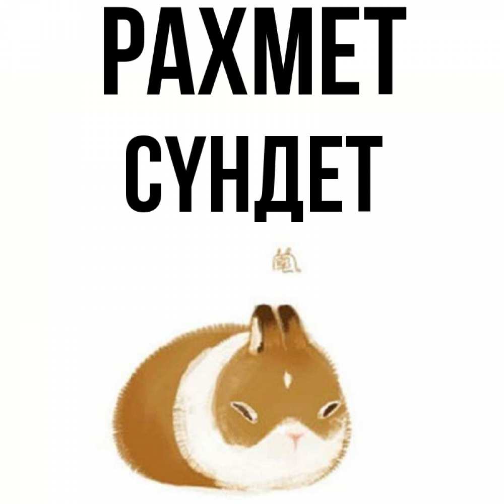 Күн сайын ашық хат с именем, СҮНДЕТ рахмет коричнево белый домашний питомец Онлайн тегін жүктеп алу тілектері бар керемет карта 