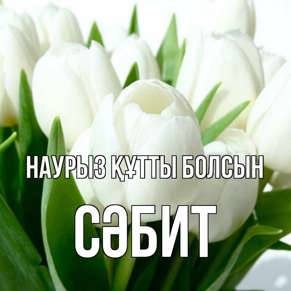 Күн сайын ашық хат с именем, СӘБИТ Наурыз құтты болсын цветы Онлайн тегін жүктеп алу тілектері бар керемет карта 