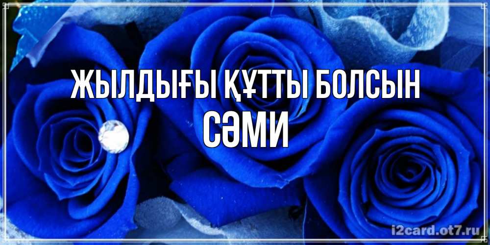Күн сайын ашық хат с именем, СӘМИ Жылдығы құтты болсын синие розы в росе Онлайн тегін жүктеп алу тілектері бар керемет карта 