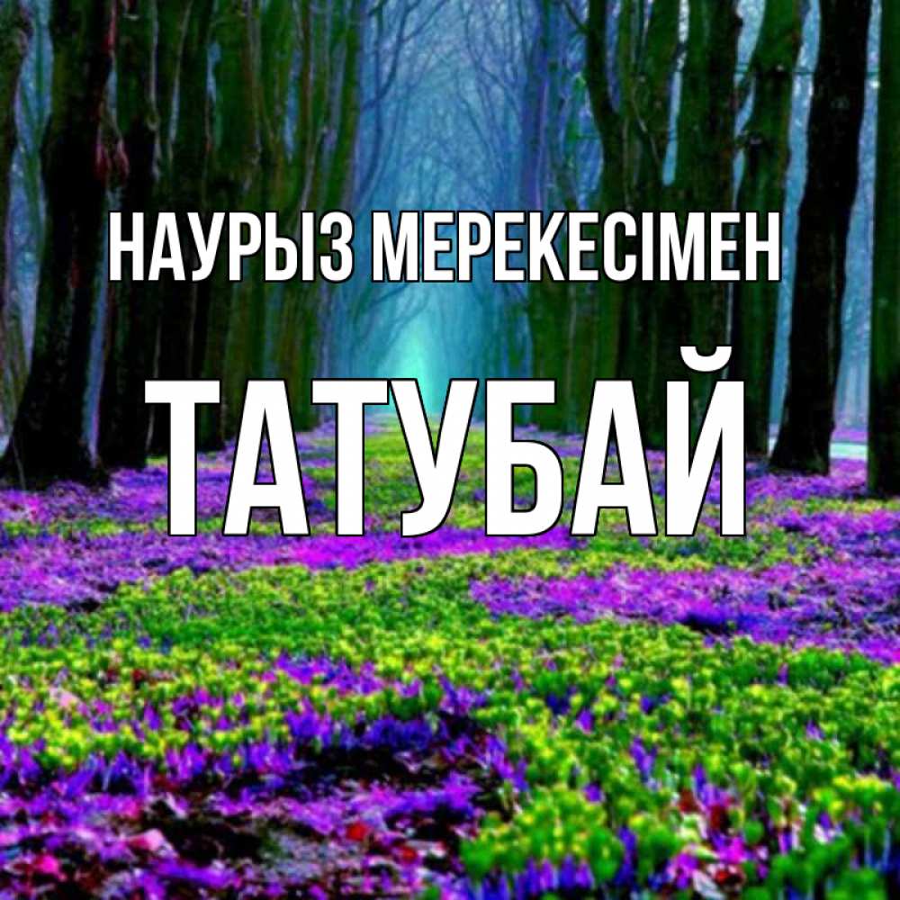 Күн сайын ашық хат с именем, ТАТУБАЙ Наурыз мерекесімен фиолетовые цветы в лесу 1 Онлайн тегін жүктеп алу тілектері бар керемет карта 