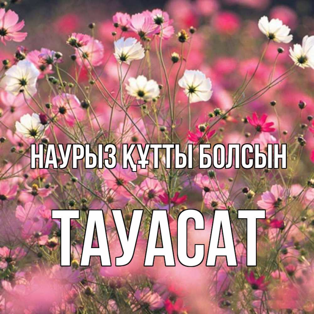 Күн сайын ашық хат с именем, ТАУАСАТ Наурыз құтты болсын красиво 1 Онлайн тегін жүктеп алу тілектері бар керемет карта 